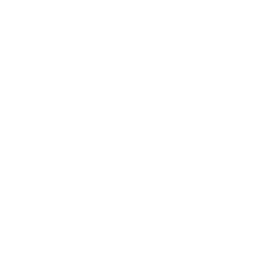 Shopify Partner