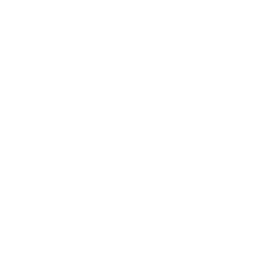 Shopify Partner